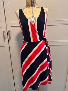 Express Striped Dress in Navy and Red